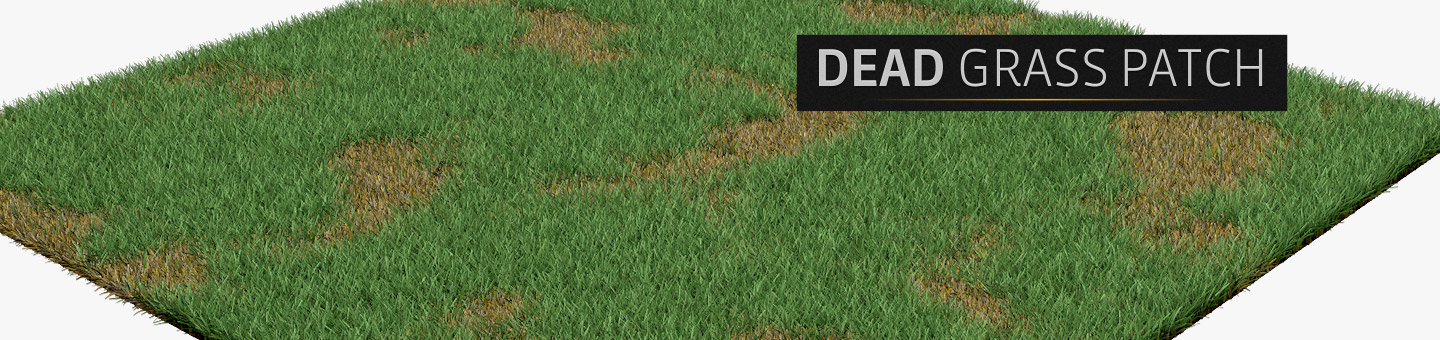 _Dead-Grass-Patch