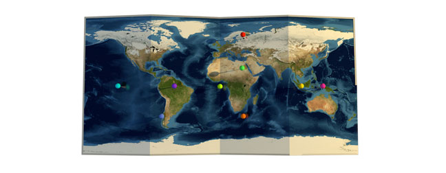 Flat-Pin-Map-1-C4D-3D-Model