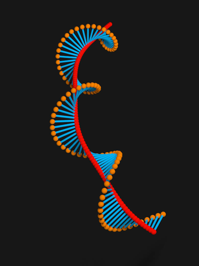 Free Cinema 4D 3D Model DNA Strand