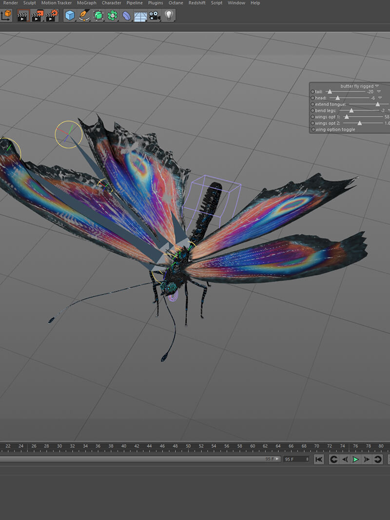 Free Cinema 4D 3D Model Butterfly Xpresso Rig