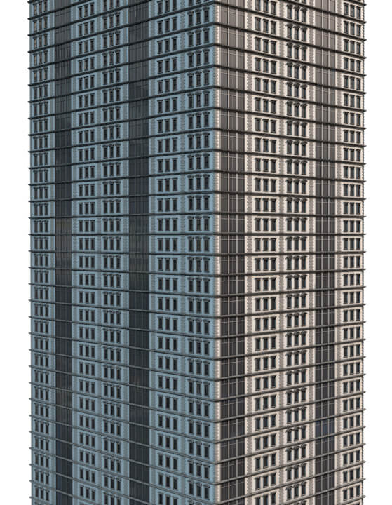 City Kit Greyscalegorilla