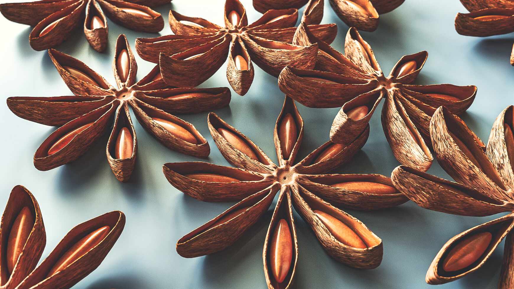 Free Cinema 4D 3D Model Anise Spice