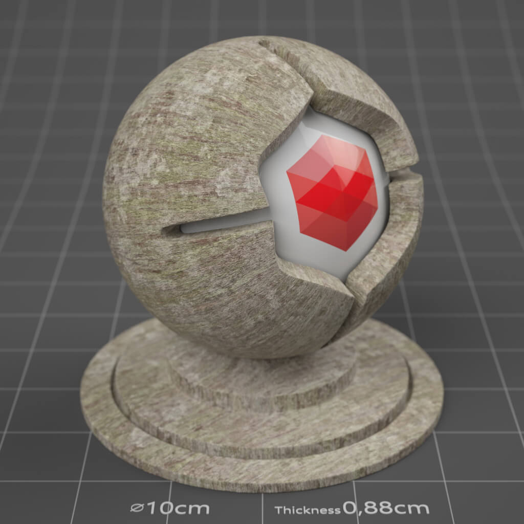 01_RS_American_Beech_Bark_01_4K_Cinema_4D_Material_Wood