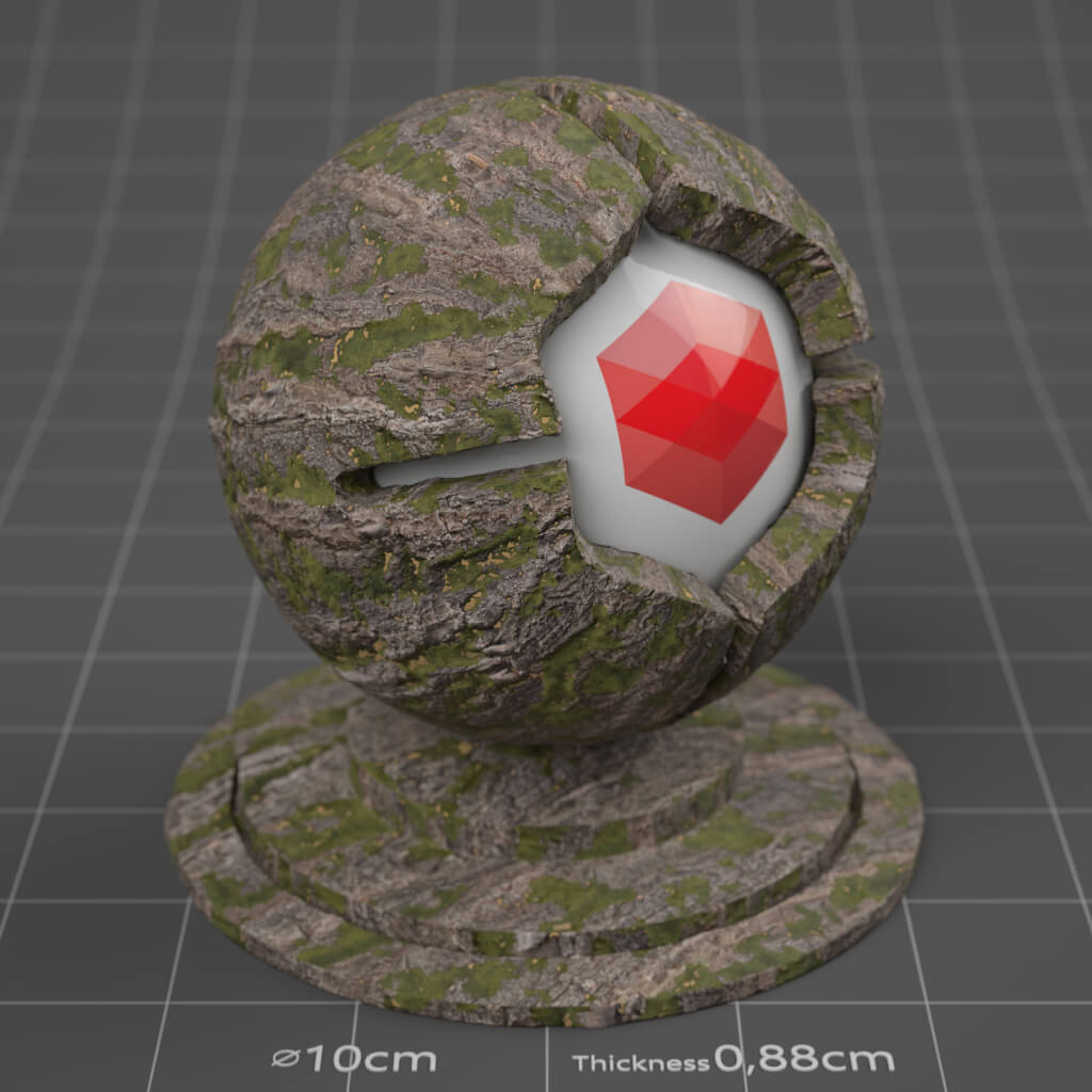 05_RS_Ash_Bark_02_Mossy_4K_Cinema_4D_Material_Wood