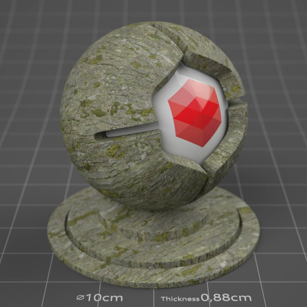 06_RS_Sycamore_Maple_Bark_03_Mossy_4K_Cinema_4D_Material_Wood