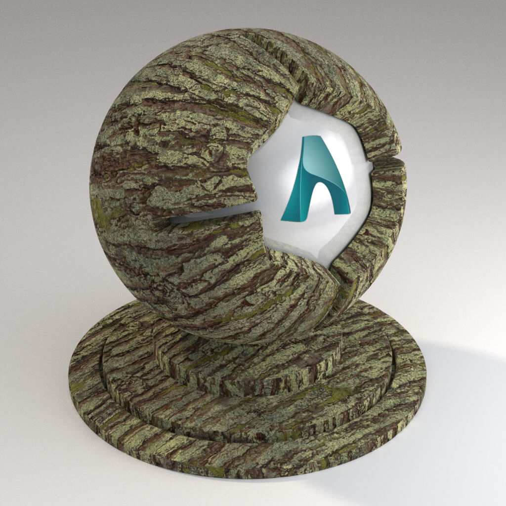 Cinema_4D_Arnold_Material_Pack_Mutating_Wood_Pine_Bark_02_Mossy_4K