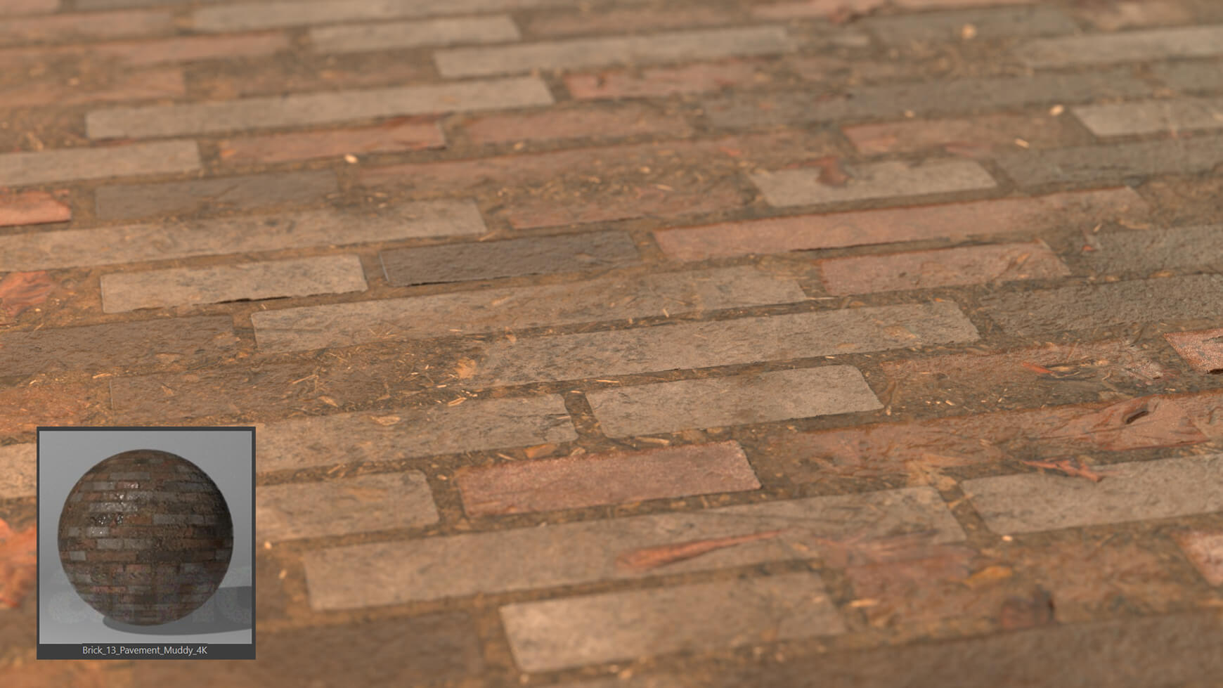 Arnold Mutating Materials Texture Pack Cinema 4D C4D