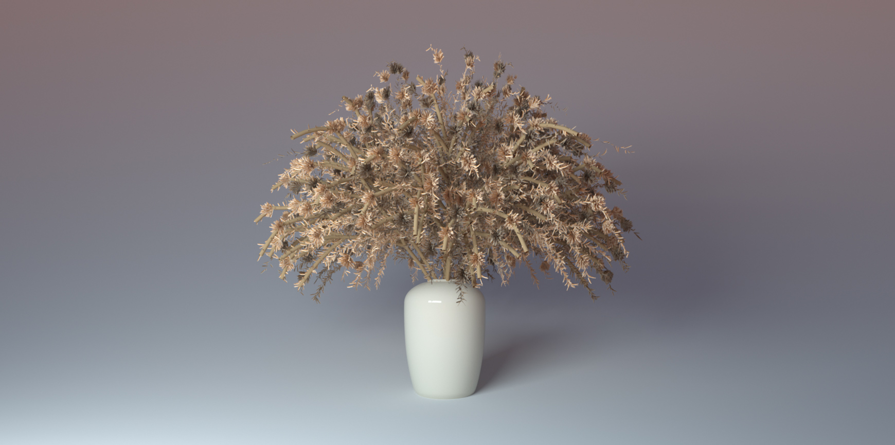 Free Cinema 4D 3D Model Pampas Grass House Plant