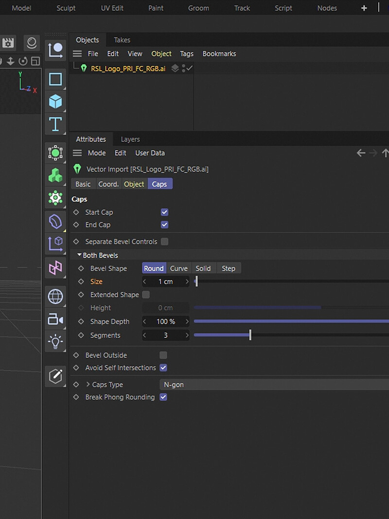 Cinema 4D 3D Tutorial C4D Vector Import