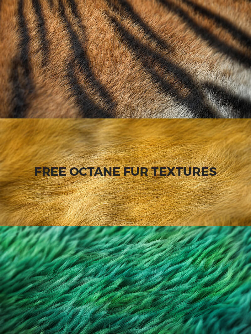 Octane Texture Render Otoy Cinema 4D C4D Hair Fur