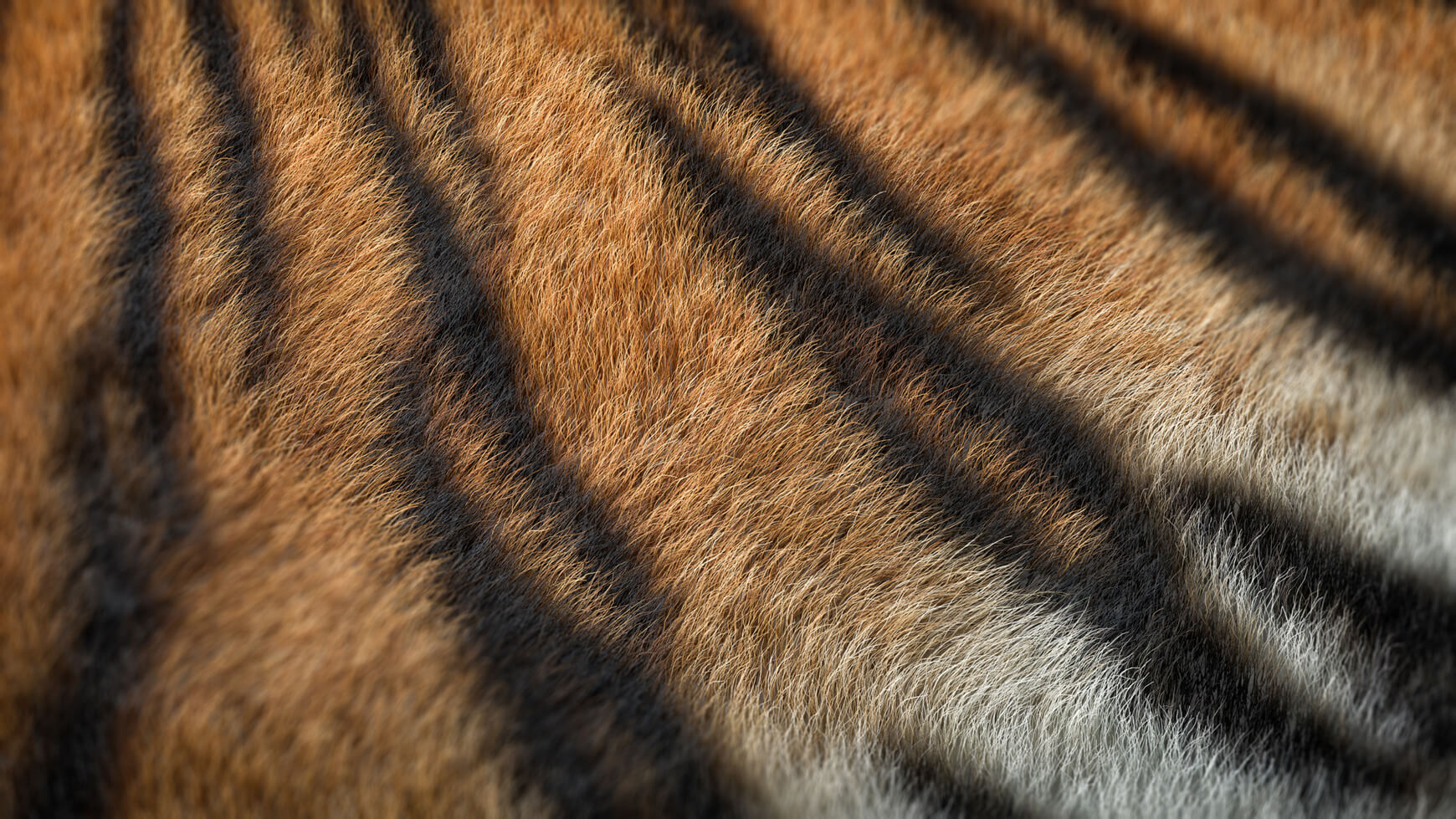 Octane Texture Render Otoy Cinema 4D C4D Hair Fur