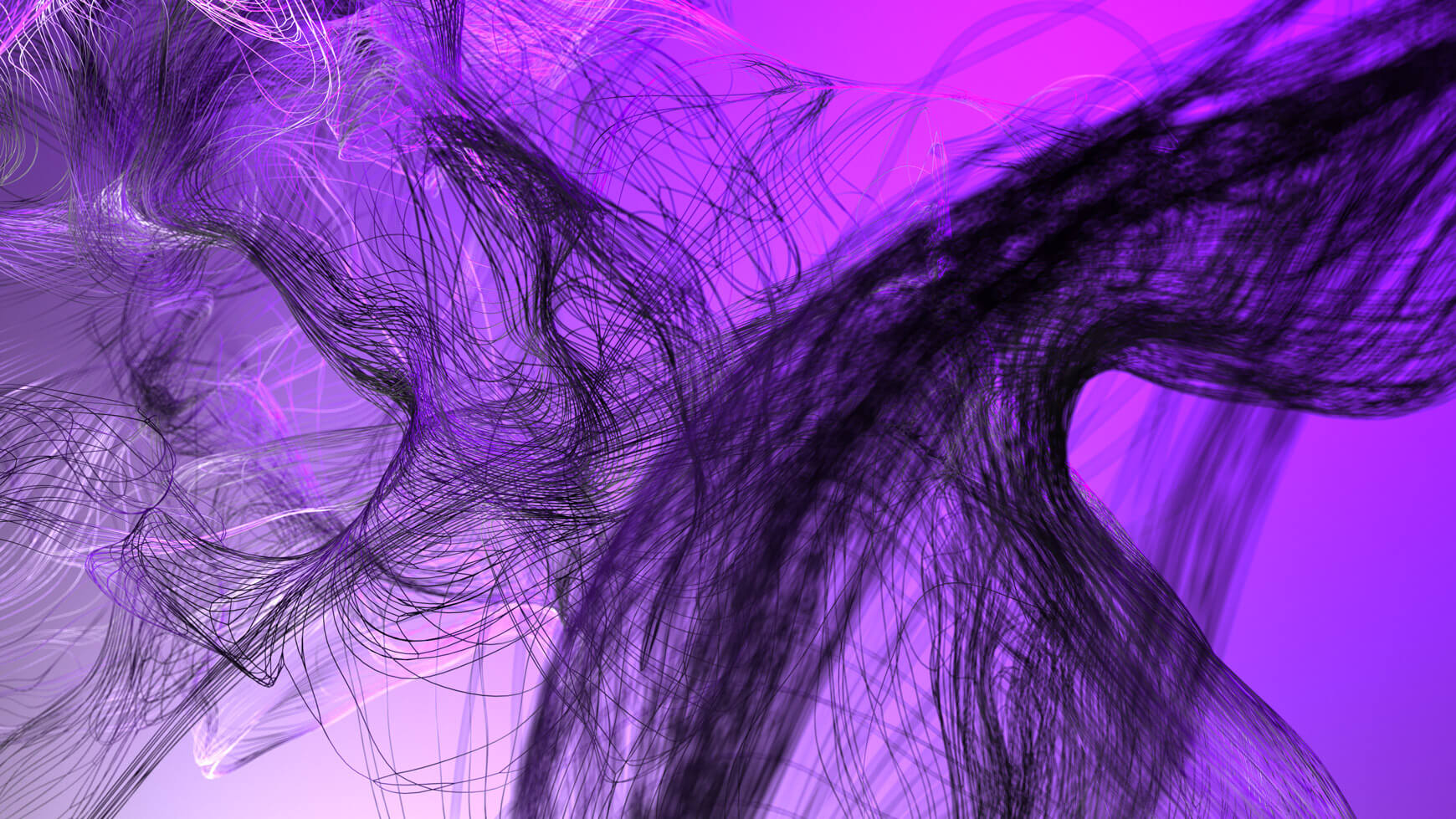Motion Design Abstract Splines 3D