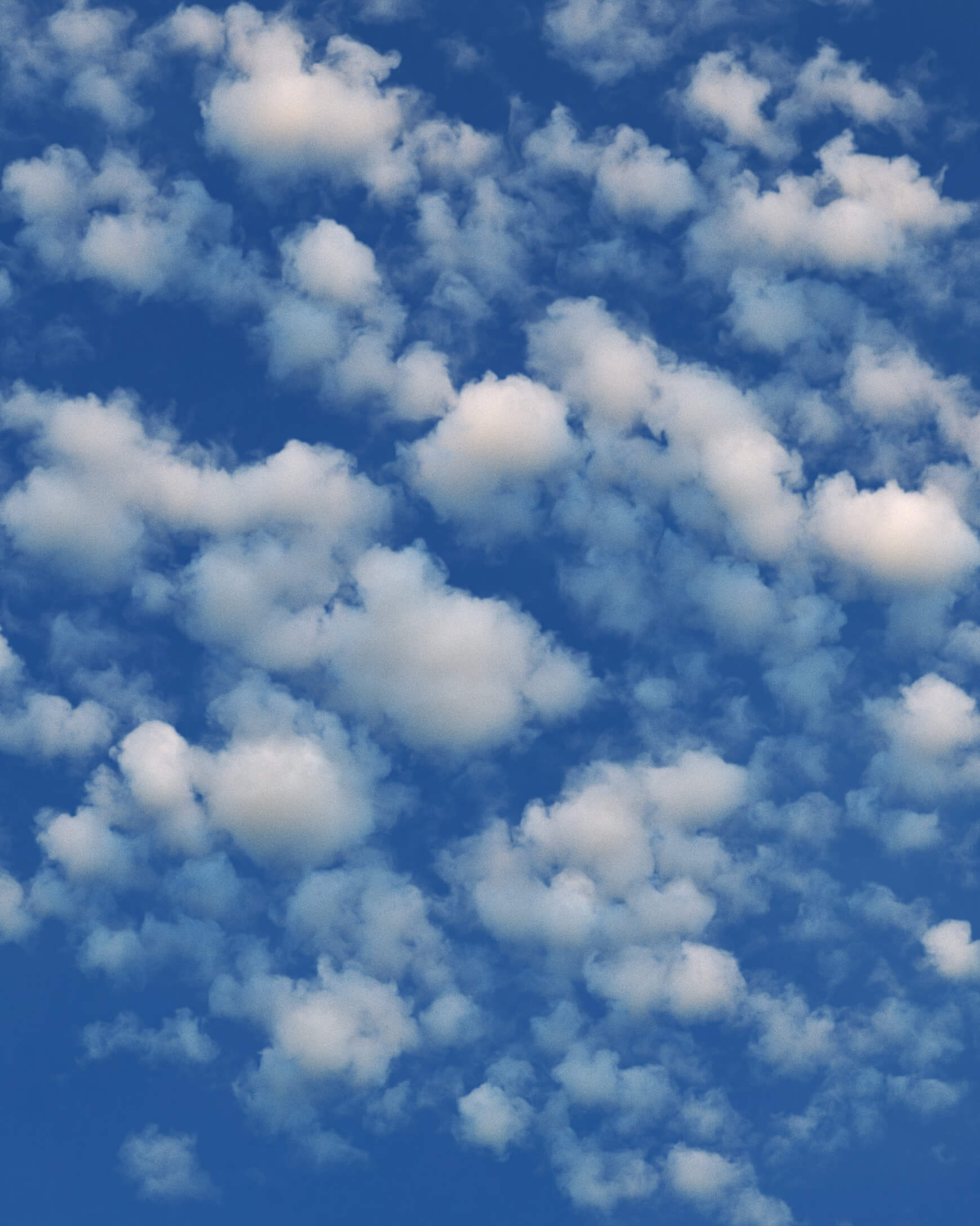 VDB Cloud 3D Asset Volume Formations VFX