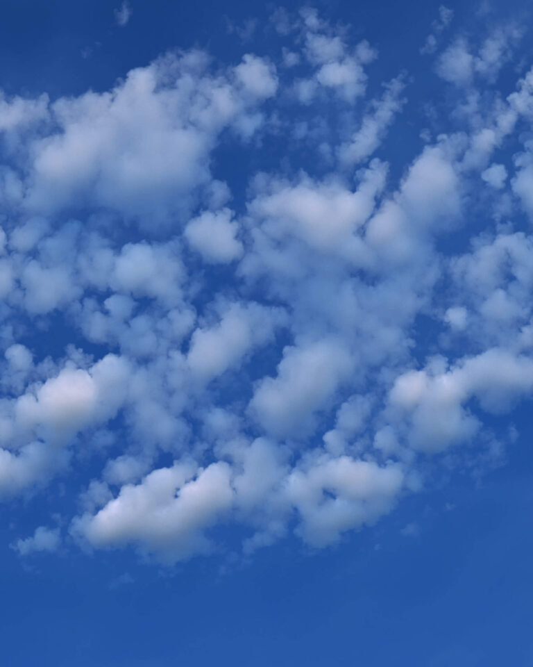 VDB Cloud 3D Asset Volume Formations VFX