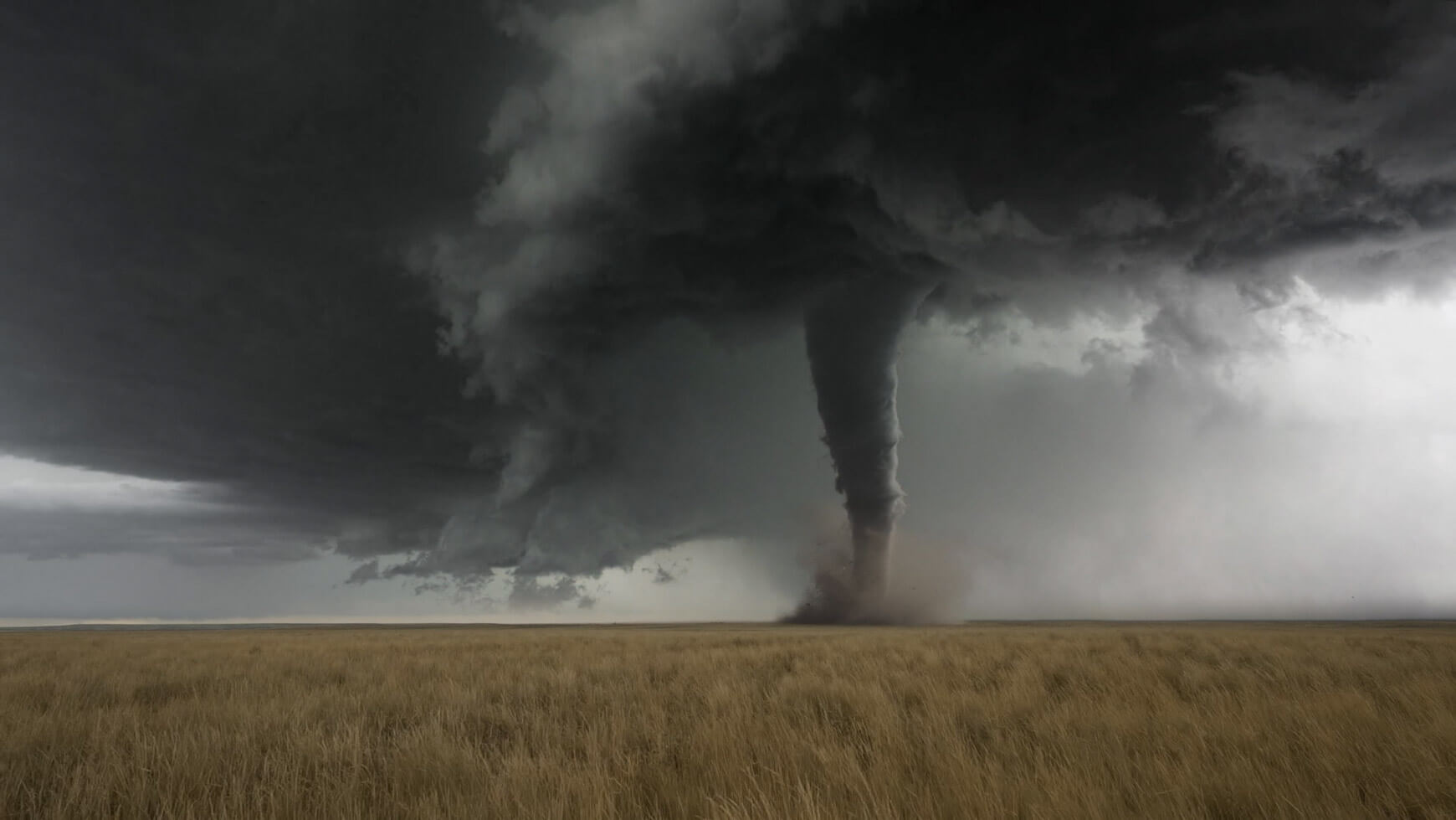 Animated VDB Tornado The Pixel Lab OpenVDB Volume
