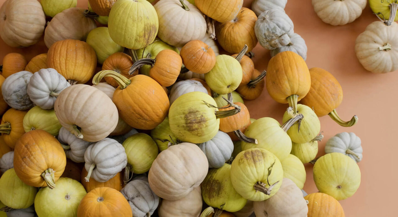 Free Pumpkin 3D Model