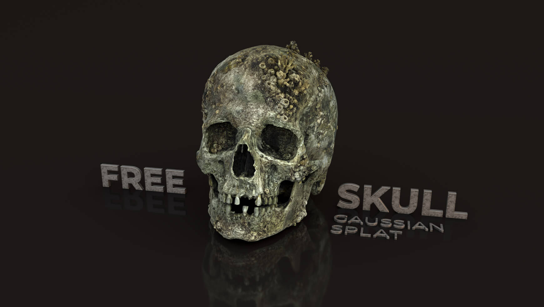 Free Pixel Lab Gaussian Splat Model Skull
